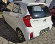 Kia Picanto Picanto 1,0 MPI ISG 20 Jahre Edition 20 Jahre Edition Weiß - thumbnail 6