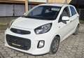 Kia Picanto Picanto 1,0 MPI ISG 20 Jahre Edition 20 Jahre Edition Weiß - thumbnail 1