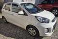 Kia Picanto Picanto 1,0 MPI ISG 20 Jahre Edition 20 Jahre Edition Weiß - thumbnail 3