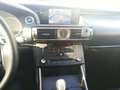 Lexus IS 300 300h Luxury Grau - thumbnail 14