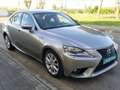 Lexus IS 300 300h Luxury Grau - thumbnail 5