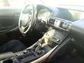 Lexus IS 300 300h Luxury Grau - thumbnail 12
