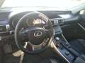 Lexus IS 300 300h Luxury Grau - thumbnail 11