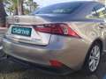 Lexus IS 300 300h Luxury Grau - thumbnail 7