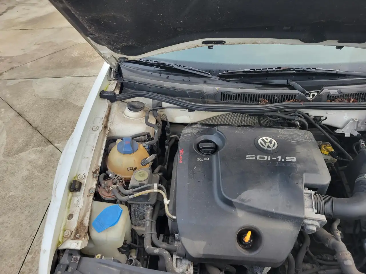 Volkswagen Golf 1.9 SDi Base 25 (ACA), foto 7