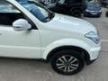 SsangYong Rexton Rexton W 2.0 D/Automatik/4x4/Leder1.Hand/7Sitzer Weiß - thumbnail 10