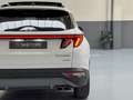 Hyundai TUCSON 1.6 TGDI HEV Tecno Sky AT Bianco - thumbnail 12