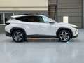 Hyundai TUCSON 1.6 TGDI HEV Tecno Sky AT Bianco - thumbnail 3