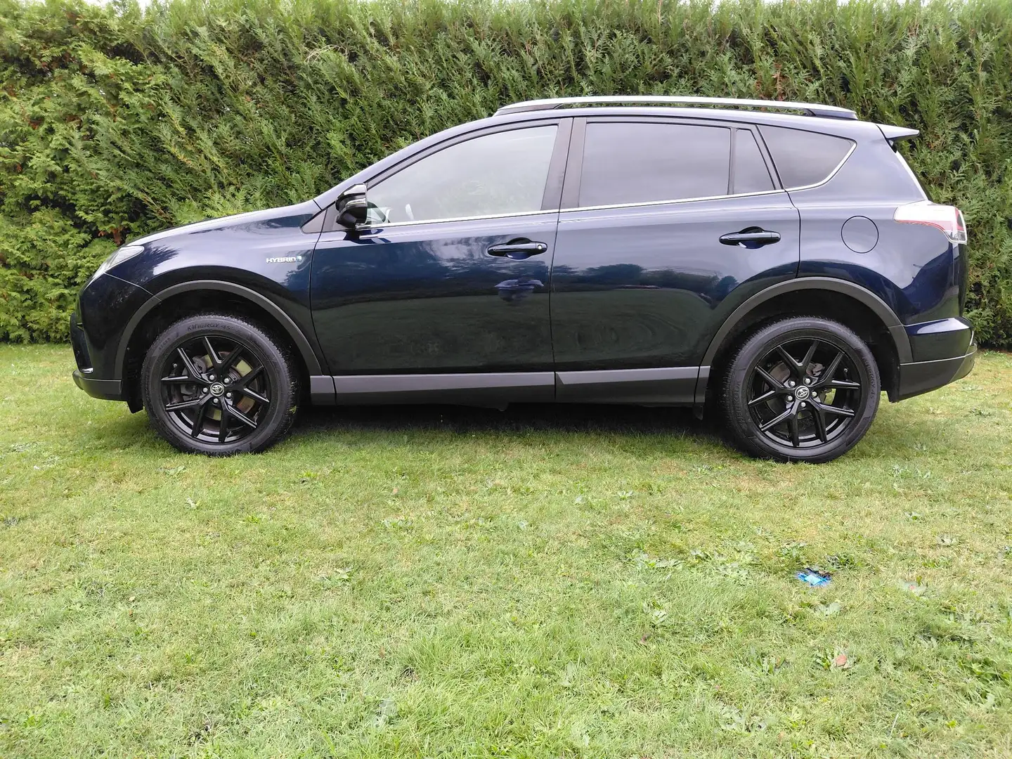 Toyota RAV 4 2.5 VVT-i Hybrid Dynamic E-CVT - 2