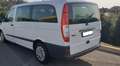 Mercedes-Benz Vito 115 CDI Bianco - thumbnail 14