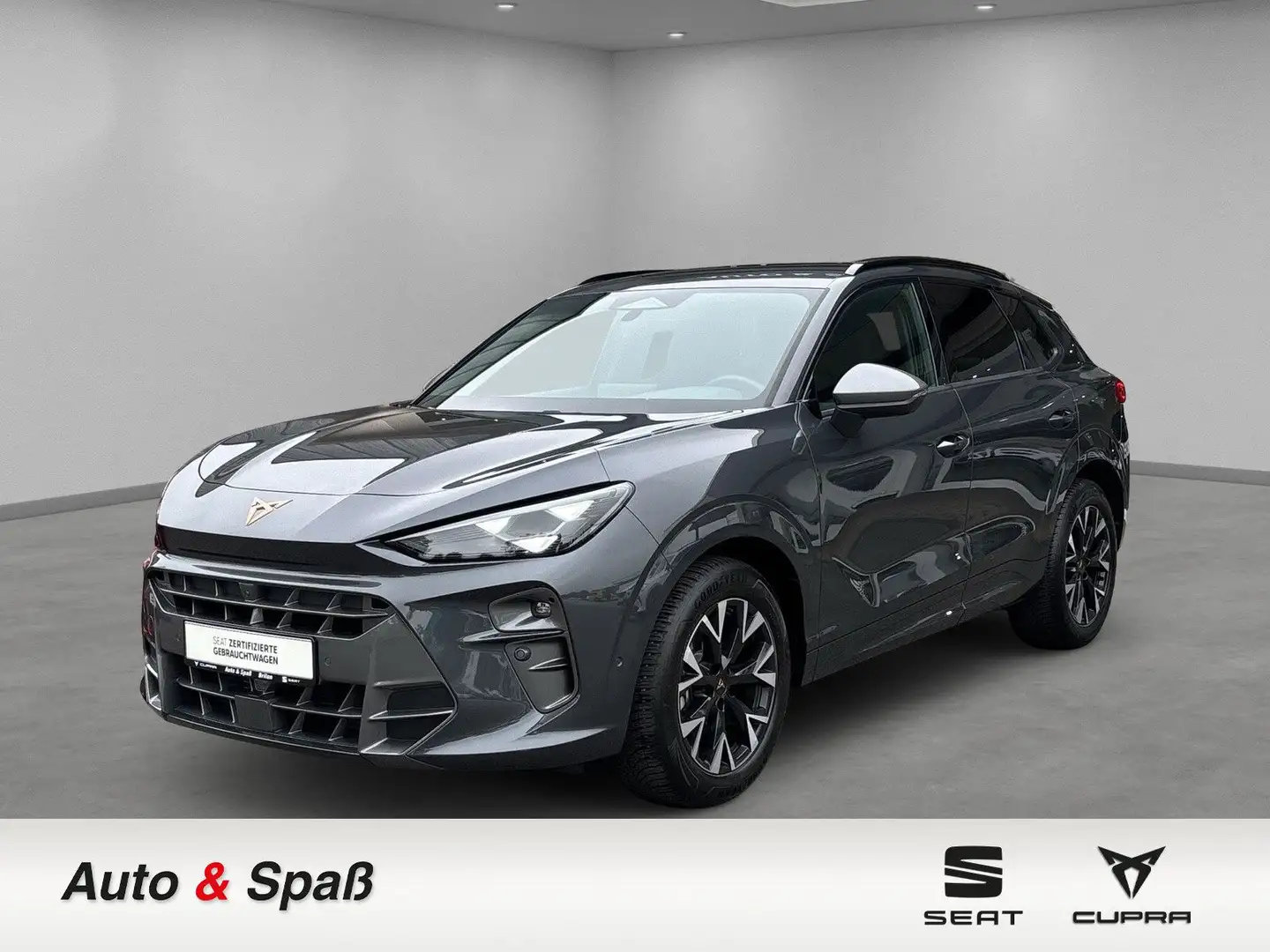 CUPRA Terramar 1.5 eTSI 110 kW Grau - 1
