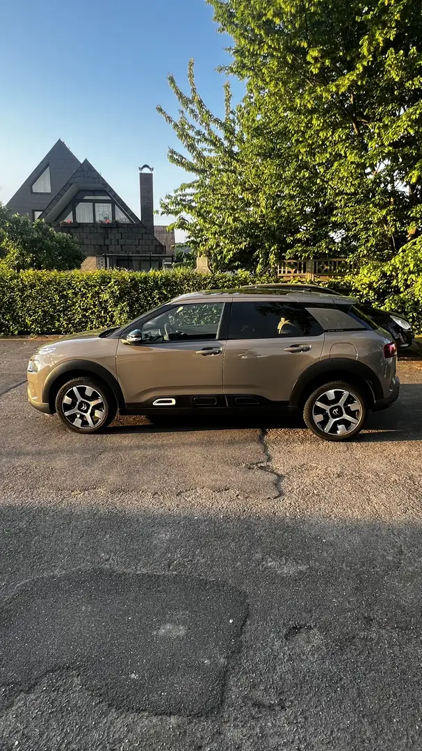 Citroen C4 Cactus BlueHDi 100 Stop&Start Shine - 2
