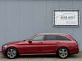 Mercedes-Benz C 350 Estate e Business Solution Automaat Rouge - thumbnail 5