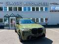 BMW X7 M60i xDrive Individua/M Sportpaket Pro/360°K Grün - thumbnail 2