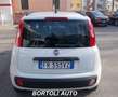 Fiat Panda 1.2 40.000 KM VAN 4 POSTI N1 EASY IVA COMPRESA Bianco - thumbnail 4