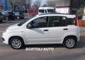 Fiat Panda 1.2 40.000 KM VAN 4 POSTI N1 EASY IVA COMPRESA Bianco - thumbnail 3