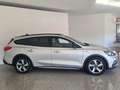 Ford Focus SW Active 1.0 EcoBoost 125 CV  Manuale Argent - thumbnail 21