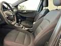 Ford Kuga ST-LINE 2.0 EcoBlue Hybrid 150 CV Grigio - thumbnail 14