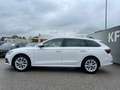 Skoda Octavia Combi 2,0 TDI Style DSG | HUD*RFK*ACC Weiß - thumbnail 6