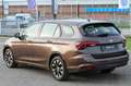 Fiat Tipo SW 1.6 Multijet 130cv City Life Bronze - thumbnail 7