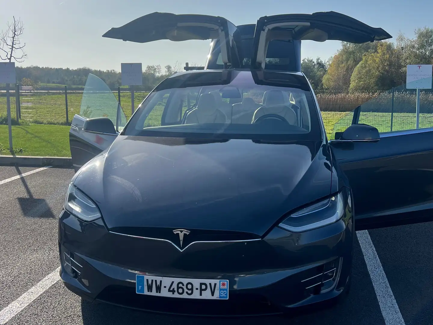 Tesla Model X MODEL X  Performance Dual Motor AWD Gris - 1