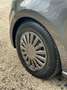 Volkswagen Polo Polo 1.2 3 porte Trendline Gris - thumbnail 12