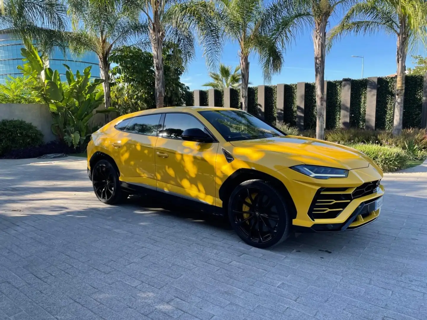 Lamborghini Urus 4.0 V8 Aut. - 2