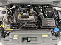 SEAT Arona 1.0 TSI S&S Reference 95 Blanco - thumbnail 34