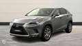 Lexus NX 300h 300h 4WD Luxe Plus MY21 - thumbnail 1