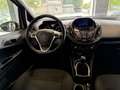 Ford B-Max B-Max 1.4 90 CV GPL Titanium Beige - thumbnail 12