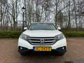 Honda CR-V 2.4i-VTEC 4WD Automatik Executive Blanc - thumbnail 3