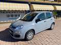 Fiat Panda Panda 1.0 firefly hybrid s Grigio - thumbnail 1