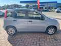 Fiat Panda Panda 1.0 firefly hybrid s Grigio - thumbnail 6