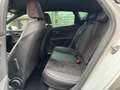 SEAT Leon FR Black-Edition 1,5 TGI | FR-SPORTPAKET | ALCANTA Weiß - thumbnail 7