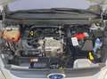 Ford B-Max 1.0 EcoBoost Sync Edition SHZ+Winterp.+LM Silber - thumbnail 20