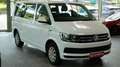 Volkswagen T6 Transporter Caravelle Comfortline*AHK*STHZ*9 Weiß - thumbnail 3