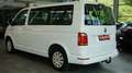 Volkswagen T6 Transporter Caravelle Comfortline*AHK*STHZ*9 Weiß - thumbnail 7