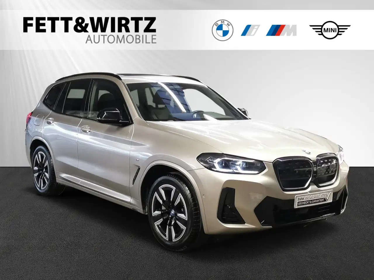 BMW iX3