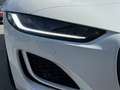 Jaguar F-Type P300 R-Dynamic Coupe AKTIONSPREIS! Weiß - thumbnail 21