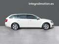 Skoda Octavia Combi 1.6TDI CR Ambition Blanco - thumbnail 24