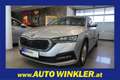 Skoda Octavia Combi 2,0 TDI 4x4 Ambition DSG Silber - thumbnail 1