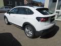 Volkswagen Taigo Life 1.0 TSI NAVI KAMERA ALU ACC LED APS SITZHZG KLIMA Weiß - thumbnail 2