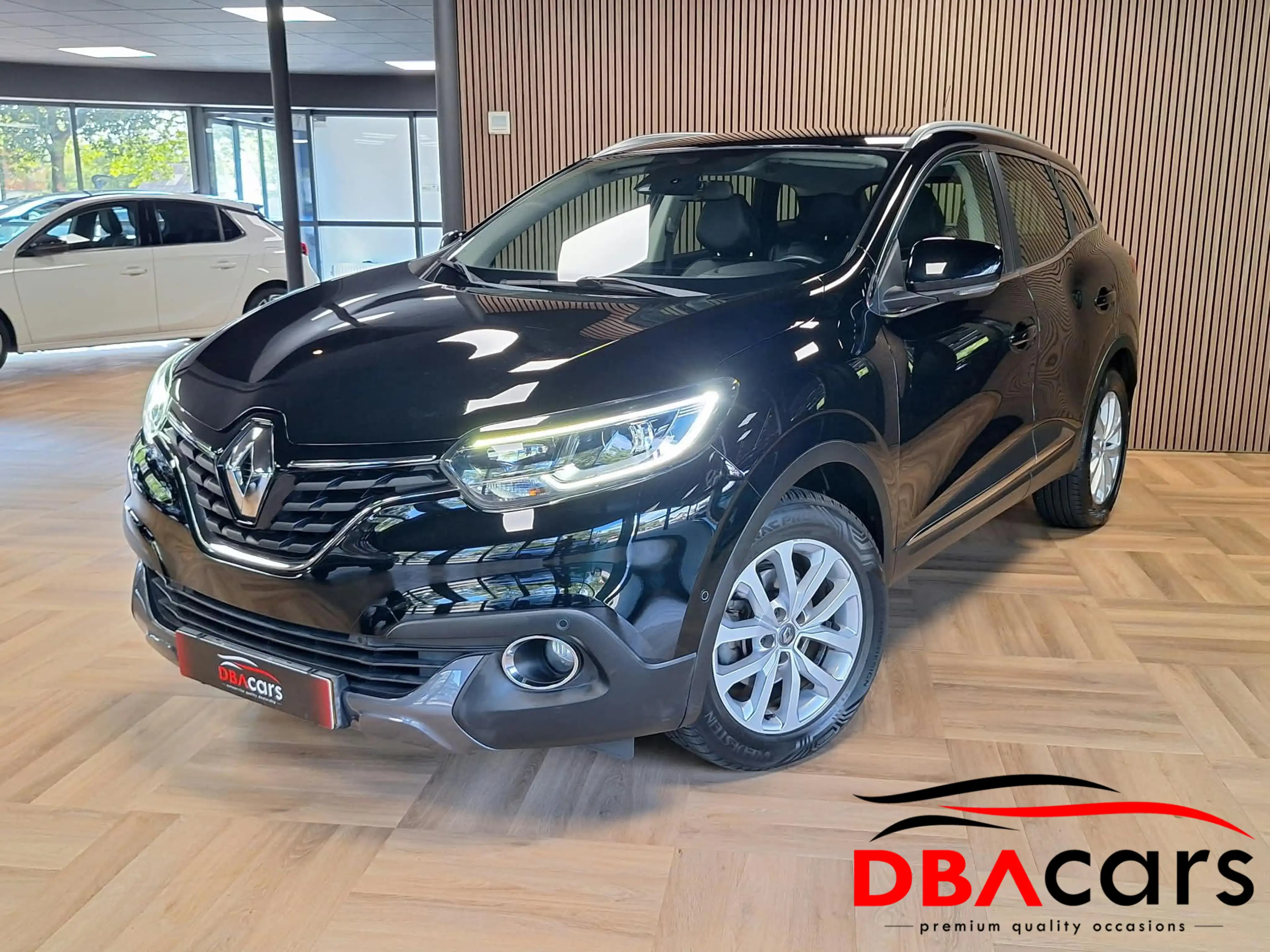 Renault Kadjar 1.2 TCe Intens Aut/Camera/Trekh/NAP