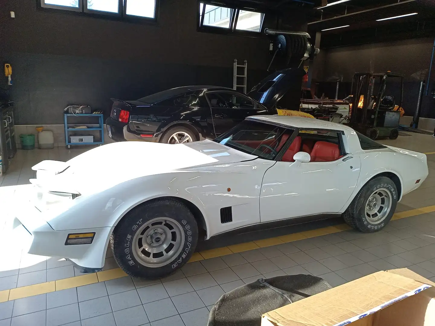 Corvette C3 Bianco - 1