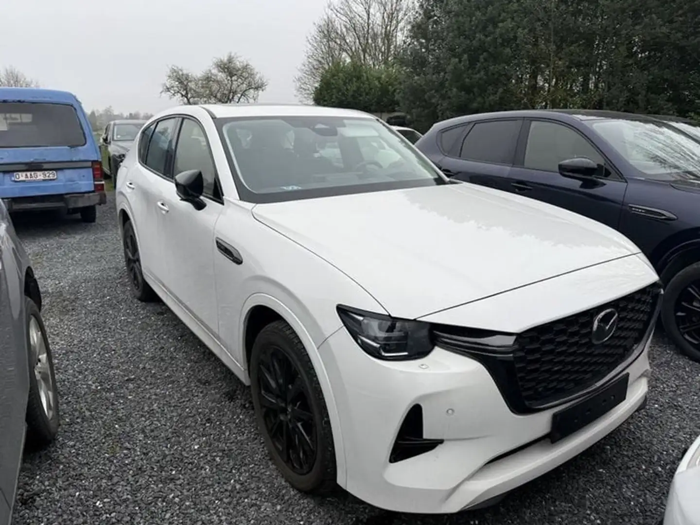Mazda CX-60 Homura Wit - 2