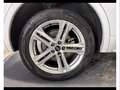 Audi Q5 sportback 40 2.0 tdi mhev 12v s line quattro s-tro Bianco - thumbnail 7