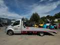 Mercedes-Benz Sprinter 516 CDI ///Algema FIT-ZEL Festplateau 2 Silber - thumbnail 12