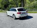 Audi A4 allroad 2,0 TDI quattro DPF bijela - thumbnail 2