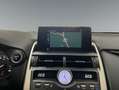 Lexus NX 300 300h Business Navigation 2WD Weiß - thumbnail 13