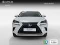 Lexus NX 300 300h Business Navigation 2WD Weiß - thumbnail 5